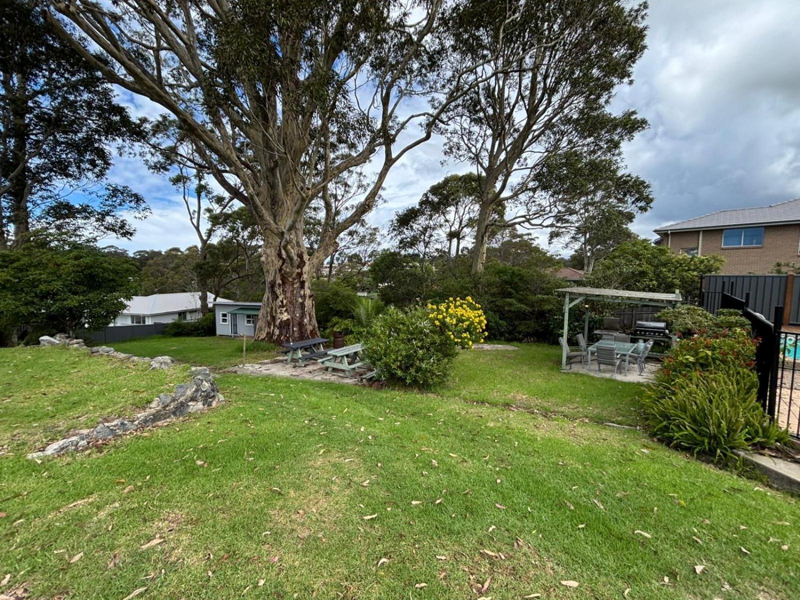 The Tree Motel Narooma Eksteriør billede